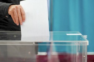 На некоторых участках уже была очередь до открытия — международный наблюдатель