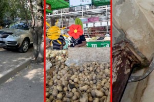 
                    Дежурный по городу. Цена качества
                