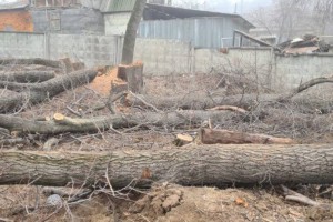 
                    Дежурный по городу. Вопросы без ответов
                