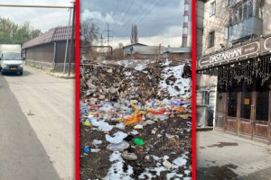 
                    Дежурный по городу. Кто забирает наши тротуары
                