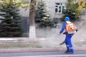 
                    Дежурный по городу. Экологическое благополучие
                