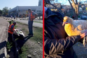 
                    Что волнует алматинцев: кто должен следить за чистотой в городе?
                