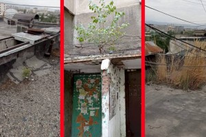 Дежурный по городу. А Алсеко против?