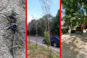 Алматинцы шлют «дежурному по городу» тревожные сообщения