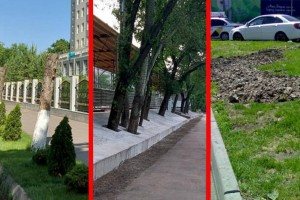 Дежурный по городу. Что-то неладное в последнее время творится в мегаполисе с зелеными насаждениями