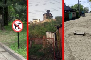 Активность алматинцев в группе «Дежурный по городу» растет