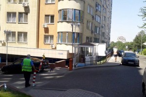 
                    Что делать и кто виноват?
                