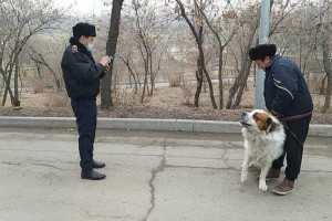
                    Дежурный по городу. Особое задание
                