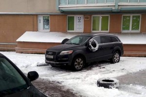 
                    Ответная реакция
                