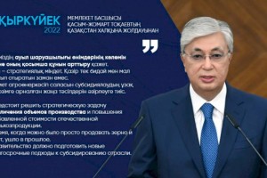 
                    Касым-Жомарт Токаев: Время, когда можно было просто продавать зерно и скот, ушло в прошлое
                