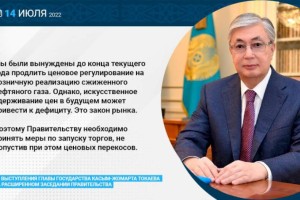 
                    Глава государства поручил Правительству принять меры по запуску торгов сжиженным газом, не допустив ценовых перекосов
                