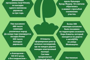 В Алматы продолжается реализация программы Jasyl Almaty