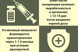 
                    Через какое время после вакцинации вырабатываются антитела?
                