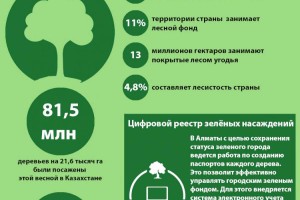 
                    О зелёном фонде страны и цифровом реестре деревьев в Алматы
                