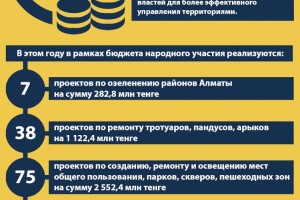 
                    О реализации проекта  «Бюджет участия» в Алматы
                