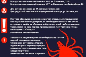 
                    Как правильно снять клеща?
                