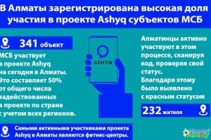 
                    В Алматы зарегистрирована высокая доля  участия в проекте Ashyq субъектов МСБ
                