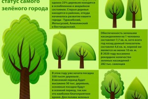 
                    Вернуть Алматы статус самого зелёного города
                