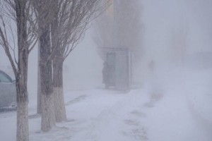 Плюсовую температуру и туманную погоду прогнозируют синоптики в Алматы и области