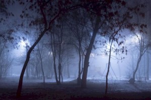Туманная погода ожидается в Алматы и области