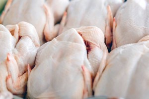 В Казахстане запретили вводить пищевые добавки в мясо птицы