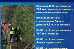 В Алматы в 2020 г. площадь озеленения достигла 8,5 кв. м на человека