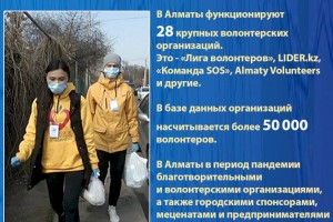 В Алматы функционируют 28 крупных волонтерских организаций