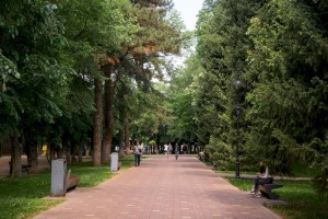
                    Погода в Алматы и области на 24 мая
                