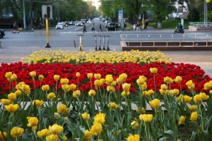 
                    Какая погода ждет алматинцев 19 мая
                