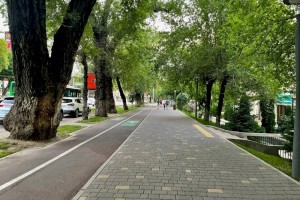
                    Какая погода ожидает алматинцев 12 мая
                