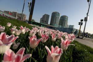 
                    Погода в Алматы и области на 19 апреля
                