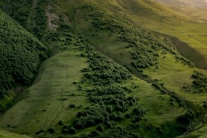 
                    О начале принудительного отчуждения земельного участка в связи с изъятием для государственных нужд
                