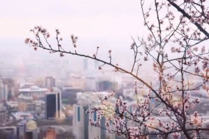 
                    Какая погода ожидается в Алматы и области 11 апреля
                