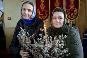 В СКО разрешили сбор вербы к православному празднику