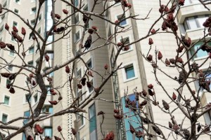 
                    Какая погода ожидает алматинцев 3 апреля
                