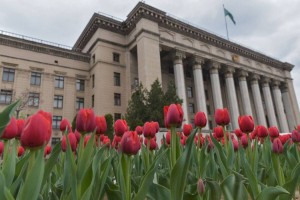 Какой будет погода в Алматы и области 29 марта