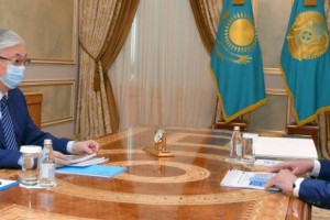 Президент Казахстана принял заместителя Премьер-министра Романа Скляра