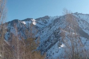 
                    Лавина сошла в горах Алматы
                