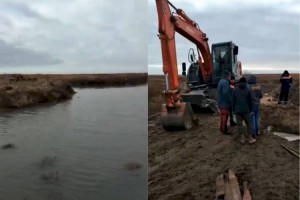 В Атырауской области в каналы запустили воду для скота