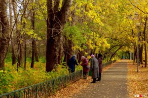 
                    Осень берет свое: прогноз погоды на октябрь в Казахстане
                