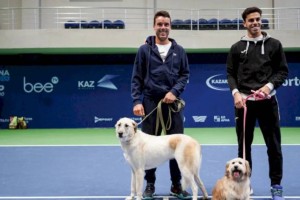 Перед стартом Astana Open звезды тенниса поучаствовали в акции помощи бездомным животным