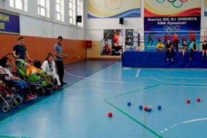 
                    В Алматы пройдут национальные инклюзивные игры с участием 310 особенных детей
                