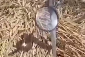
                    Рассылка о диверсиях с поджогом полей при помощи лупы оказалась фейком
                