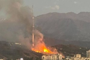 
                    Пожар на «Кок-Тобе» ликвидирован
                