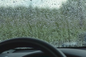 
                    Какой будет погода в Алматы и по области 10 августа
                