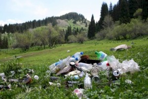 
                    В Нацпарке «Иле-Алатау» открылась необычная выставка из мусора
                