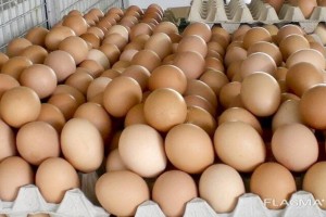 
                    Какие продукты в РК подорожали за неделю
                