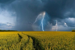 
                    Кратковременные дожди с грозами и сильная жара ожидаются в выходные
                
