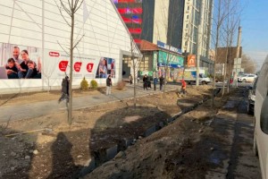 
                    В Алматы разработают специальную программу полива деревьев
                