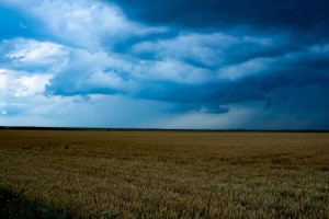 
                    Какой будет погода 6 июня в Алматы и Алматинской области
                